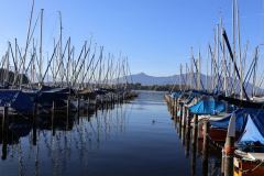 IMG_5252