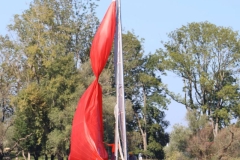 IMG_5523