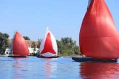 IMG_5551